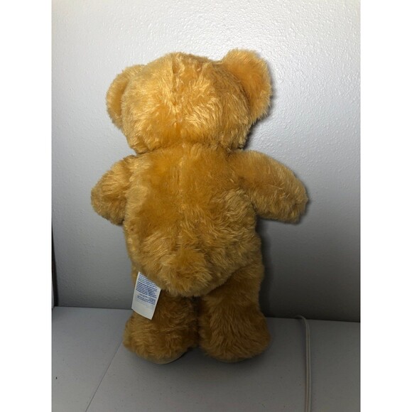 Build-A-Bear Read Bear - Picture 7 of 7